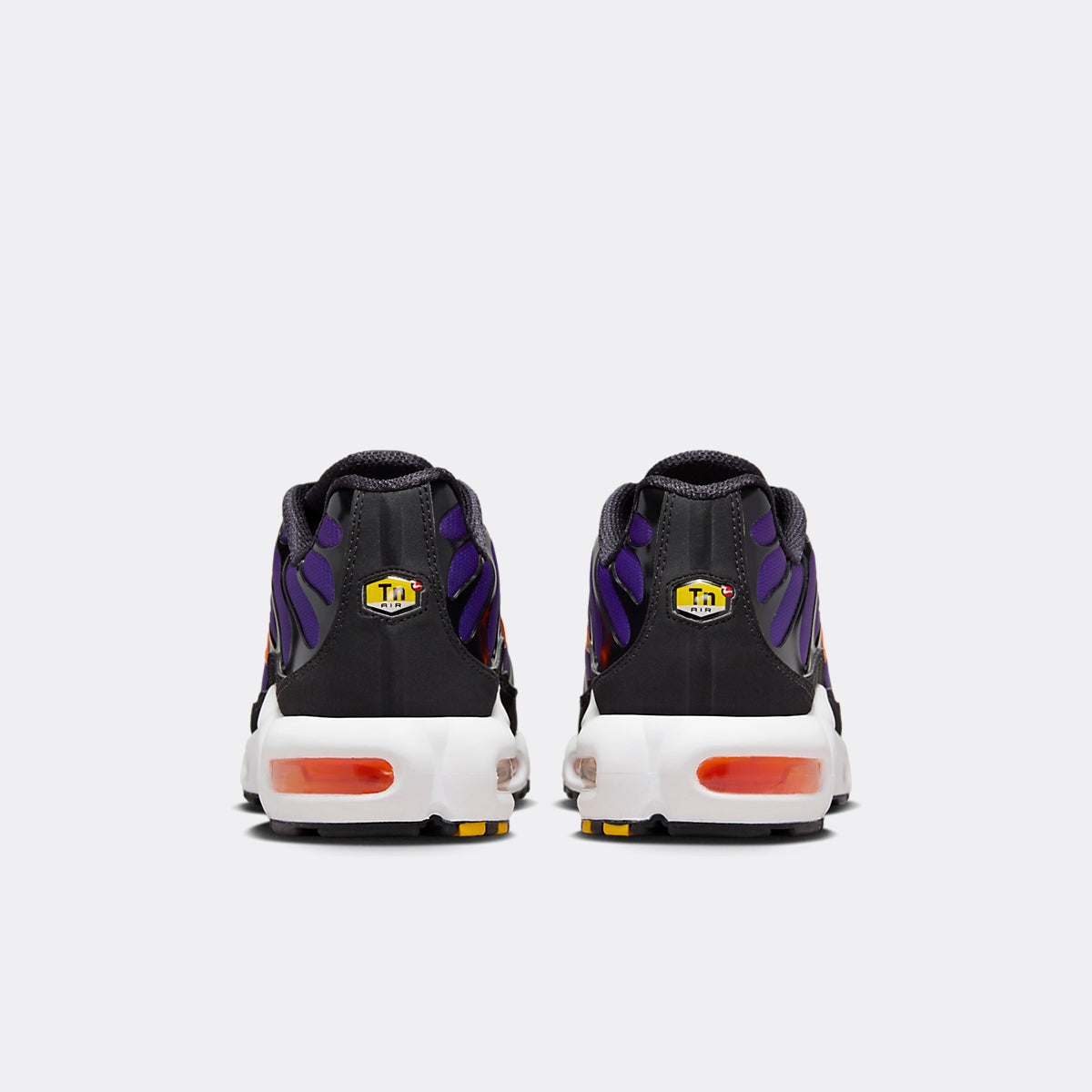 TN plus Purple