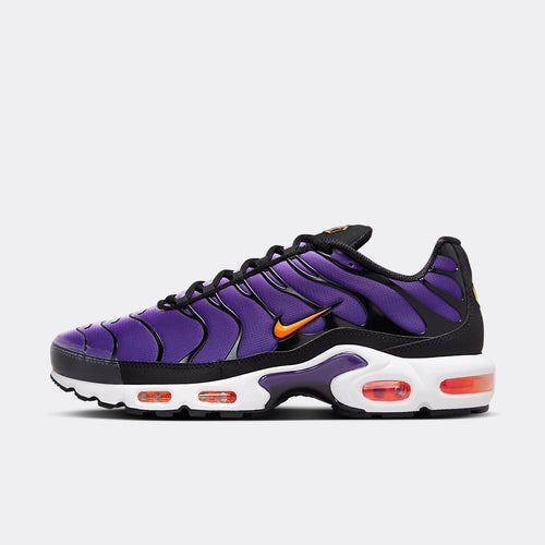 TN plus Purple